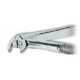 Pinza Estrazione Fig. 13 Premolari Inferiori 1pz