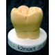 K2 Exact Cera Mod.Col.Beige 60gr