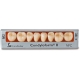Condyloform Ceramica, Post. Inf., Col.J3, Forma 32