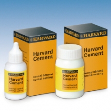 Harvard Cement Presa Normale Polvere Clinica N.4 100gr 1pz