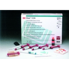 Filtek Z250 6020 Standard Kit