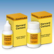 Harvard Cement Presa Rapida Polvere Clinica N.4 100gr