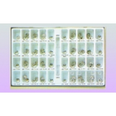 Iso Form Argento Primi Molari Superiori Destri U 68 5pz