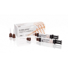 G Cem LinkAce Punte Automisc. Endodontiche 10pz