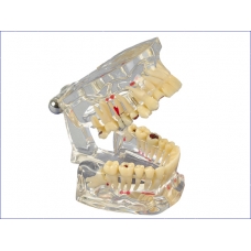 Modello Dimostrativo Adulto De Lux 1pz