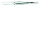 Pinzetta Semken Taylor Fig. 0631-1 12,5cm 1pz