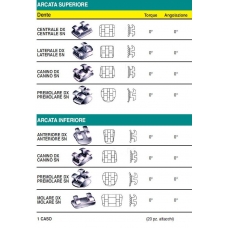 Edgewise Arcata Sup. Inf. Canino Dx Sx Slot 018 10pz