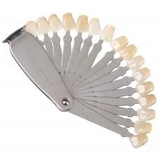Denti Quint Scala Colori 1pz