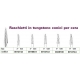 Raschietti Tungsteno Conici Per Cera 2 D.023 1pz