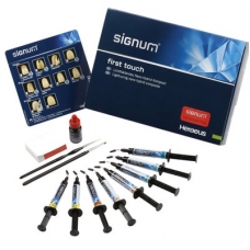 Signum Essentia Flow Dentina Colore D4 4gr