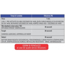 Xin B Fenolico Spray Disinfettante Liquido 1lt 1pz