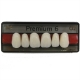Denti Premium x8 Posteriori 1pz