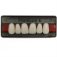 Denti Premium x6 Anteriori 1pz