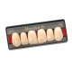 Denti Mondial x6 Anteriori 1pz