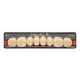 Denti Idealis8 x8 Posteriori 1pz