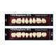 Sr Orthoplane DCL Colori A-D Bleach X8 1pz