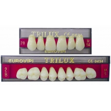 Denti Trilux X6 O X8 1pz