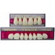 Denti Trilux X6 O X8 1pz