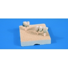 Mesh-tray K Piastra+perni