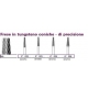 Frese Tungsteno Coniche Di Precisione 2 D.023 1pz