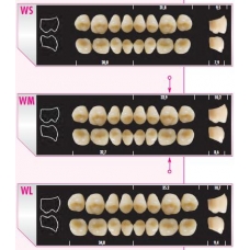 Major Plus WFA Misura Small 1pz