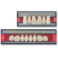Biolux Post. Inf.  Col. A2  Forma P2