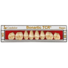 Tcr Bonartic Resina, Post. Sup., Col.C2, Forma 02