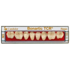 Tcr Bonartic Resina, Post. Inf., Col.J2, Forma 04