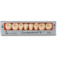 Condyloform Ceramica, Post. Inf., Col.J2, Forma 37