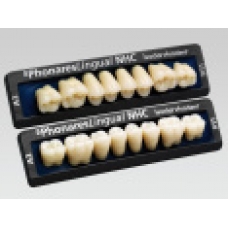 Sr Phonares Nhc Ling Post Sup Lu5-Bl4