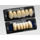 Sr Phonares Nhc Bold Ant Sup B82-Bl3